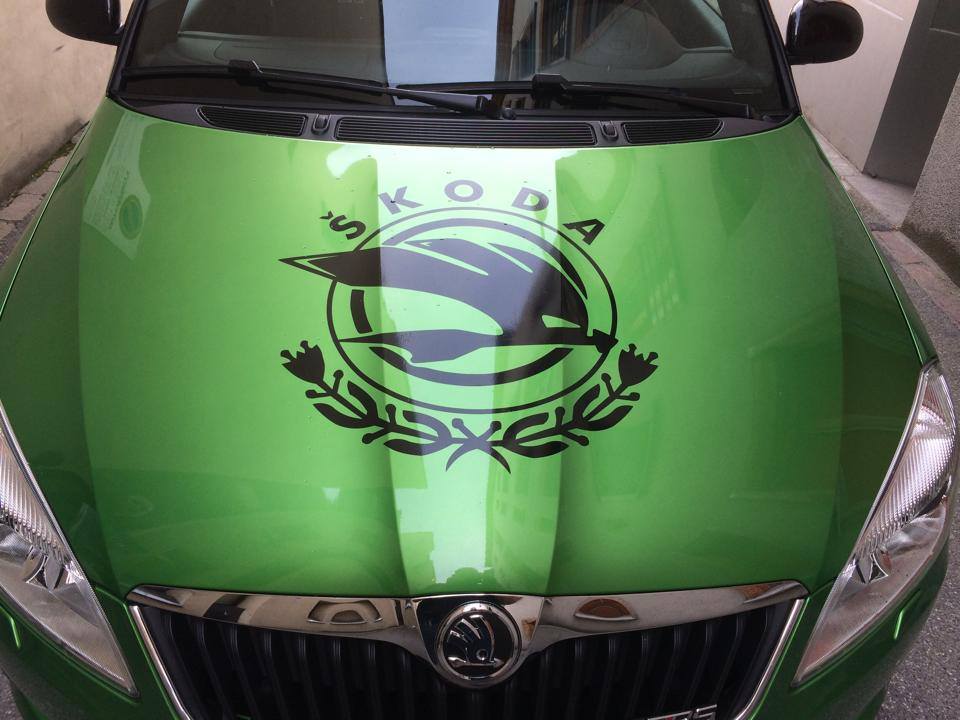 Skoda Logo Motorhaube